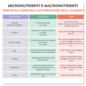 micronutrienti e macronutrienti