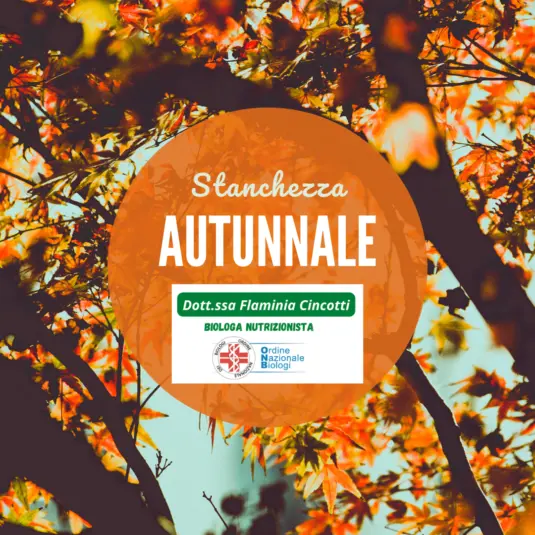 Cibi contro la stanchezza autunnale
